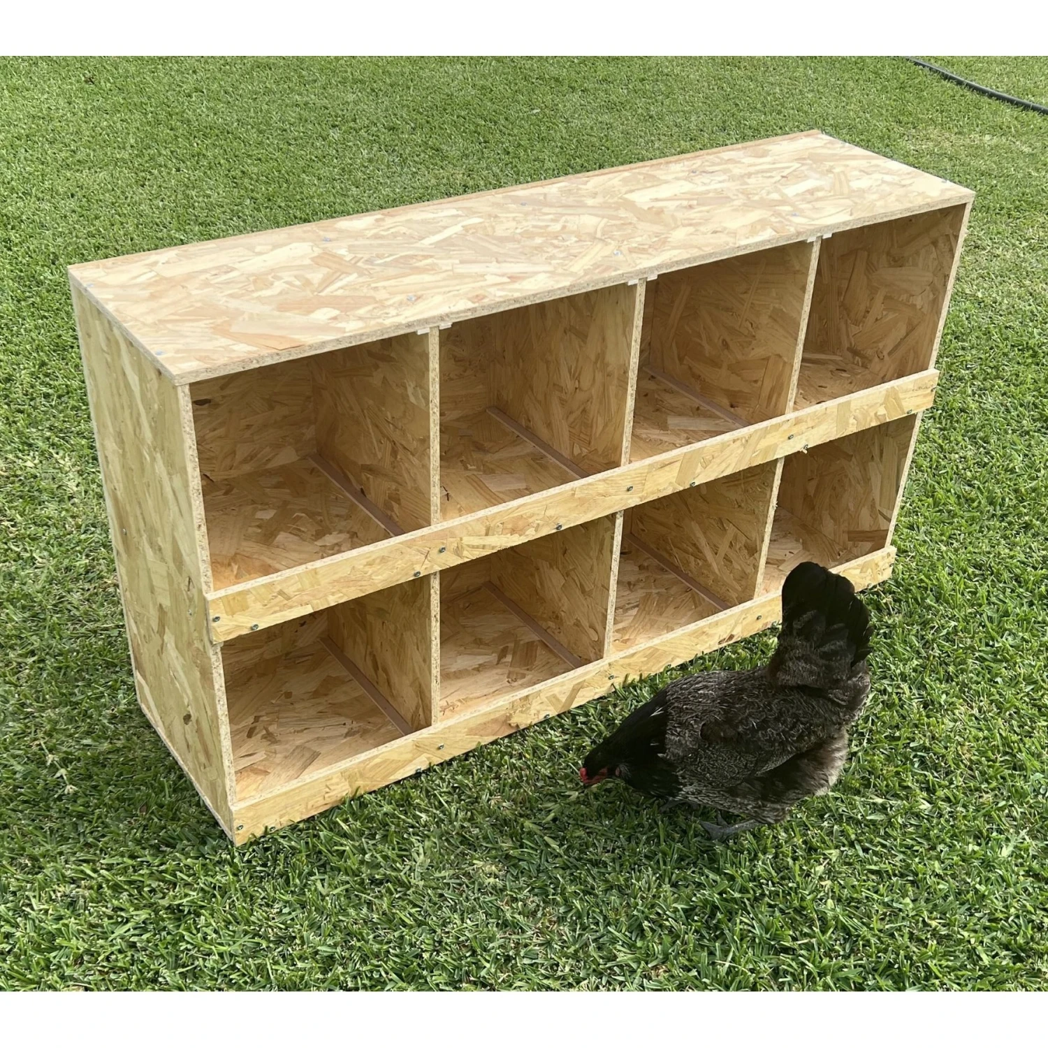 Zylina Best Rest 8 Bay Bird Nesting Box, 46x13-in 3 Zylina Best Rest 8 Bay Bird Nesting Box, 46x13-in - Image 3