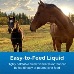 PetAg Dyne High Calorie Liquid Livestock Supplement, 1-gallon Bottle -Meadow Farm 118915 PT2. AC SS1800 V1683922991