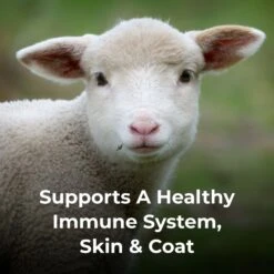 PetAg Dyne High Calorie Liquid Livestock Supplement, 1-gallon Bottle -Meadow Farm 118915 PT4. AC SS1800 V1683922990