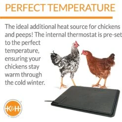 K&H Pet Products Thermo-Chicken Heated Pad -Meadow Farm 121214 PT2. AC SS1800 V1624629197
