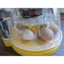 Brinsea Mini II Advance Automatic Egg Incubator -Meadow Farm 129037 PT3. AC SS1800 V1509634030