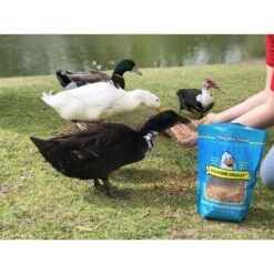 Happy Hen Treats Pond Medley Duck Treats -Meadow Farm 145003 PT3. AC SS1800 V1523308239