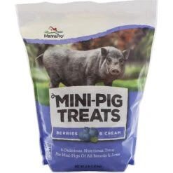 Manna Pro Berries & Cream Flavor Mini-Pig Treats