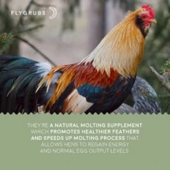 FLYGRUBS Black Soldier Fly Larvae Chicken Treat -Meadow Farm 185705 PT3. AC SS1800 V1584722185