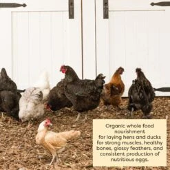 Scratch And Peck Feeds Naturally Free Organic Layer 16% Chicken & Duck Feed -Meadow Farm 188022 PT5. AC SS1800 V1681145671