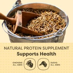 Scratch And Peck Feeds Cluckin' Good Grubs Poultry Treats -Meadow Farm 188028 PT4. AC SS1800 V1681145665