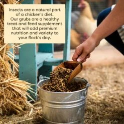Scratch And Peck Feeds Cluckin' Good Grubs Poultry Treats -Meadow Farm 188028 PT5. AC SS1800 V1682018264
