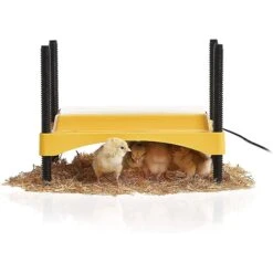 Brinsea EcoGlow Safety 600 Chick & Duckling Brooder