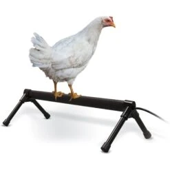 K&H Pet Products Thermo Chicken Perch, Black