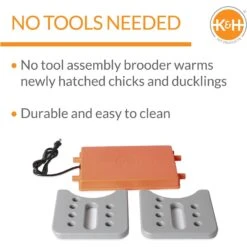 K&H Pet Products Thermo-Poultry Heated Chicken Brooder -Meadow Farm 199137 PT3. AC SS1800 V1682705179