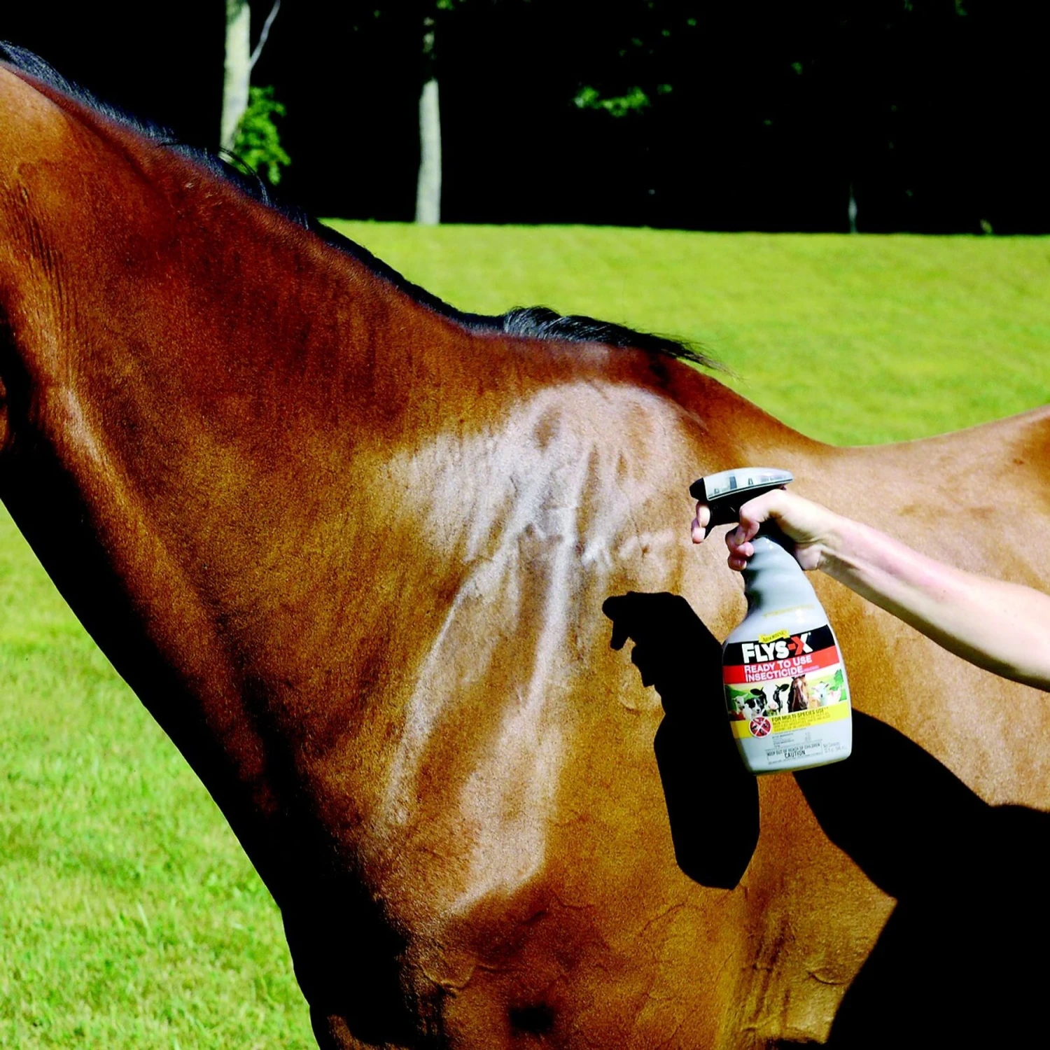Absorbine Flys-X Ready To Use Horse & Livestock Insecticide 4 Absorbine Flys-X Ready To Use Horse & Livestock Insecticide - Image 4