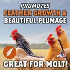 Kalmbach Feeds All Natural 20% Protein Full Plume Feathering Chicken Feed, 50-lb Bag 11 Kalmbach Feeds All Natural 20% Protein Full Plume Feathering Chicken Feed, 50-lb Bag -Meadow Farm 200000 PT3. AC SS1800 V1665439315