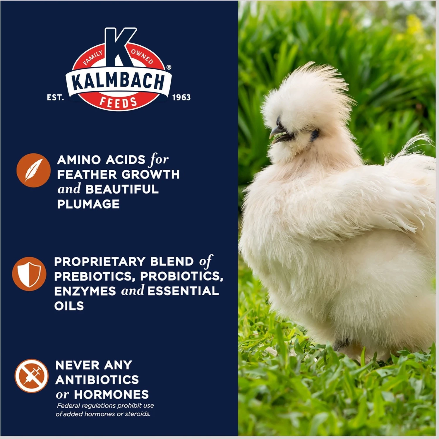 Kalmbach Feeds All Natural 20% Protein Full Plume Feathering Chicken Feed, 50-lb Bag 5 Kalmbach Feeds All Natural 20% Protein Full Plume Feathering Chicken Feed, 50-lb Bag - Image 5