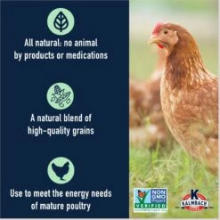 Kalmbach Feeds All Natural Non-GMO, Soy Free 5 Grain Premium Scratch Chicken Feed 10 Kalmbach Feeds All Natural Non-GMO, Soy Free 5 Grain Premium Scratch Chicken Feed -Meadow Farm 200002 PT3. AC SS1800 V1665438212