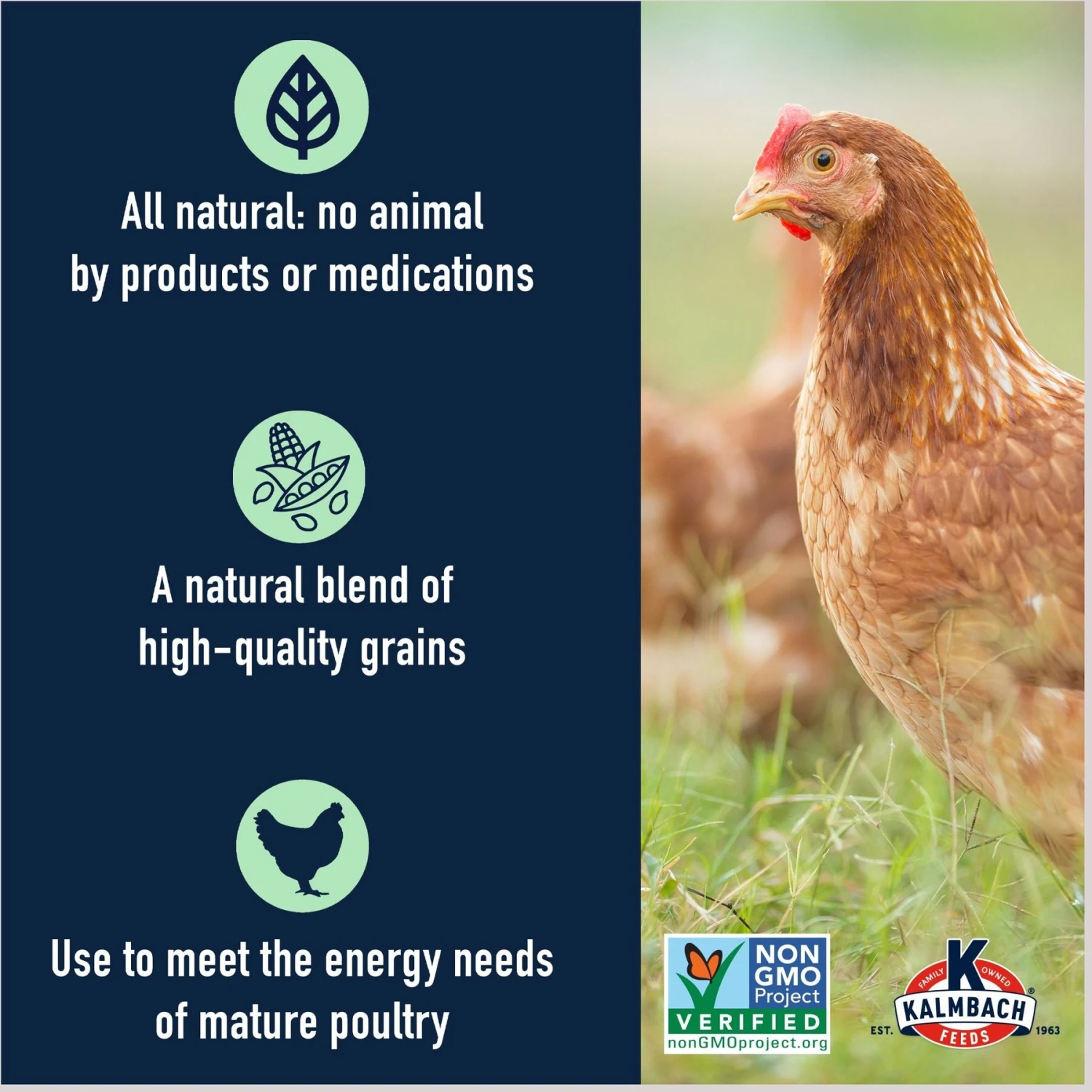 Kalmbach Feeds All Natural Non-GMO, Soy Free 5 Grain Premium Scratch Chicken Feed 4 Kalmbach Feeds All Natural Non-GMO, Soy Free 5 Grain Premium Scratch Chicken Feed - Image 4