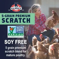 Kalmbach Feeds All Natural Non-GMO, Soy Free 5 Grain Premium Scratch Chicken Feed 11 Kalmbach Feeds All Natural Non-GMO, Soy Free 5 Grain Premium Scratch Chicken Feed -Meadow Farm 200002 PT4. AC SS1800 V1665438530