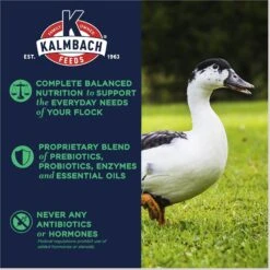 Kalmbach Feeds All Natural 16% Protein Flock Maintainer Pellet Poultry Feed 9 Kalmbach Feeds All Natural 16% Protein Flock Maintainer Pellet Poultry Feed -Meadow Farm 200004 PT3. AC SS1800 V1665438009