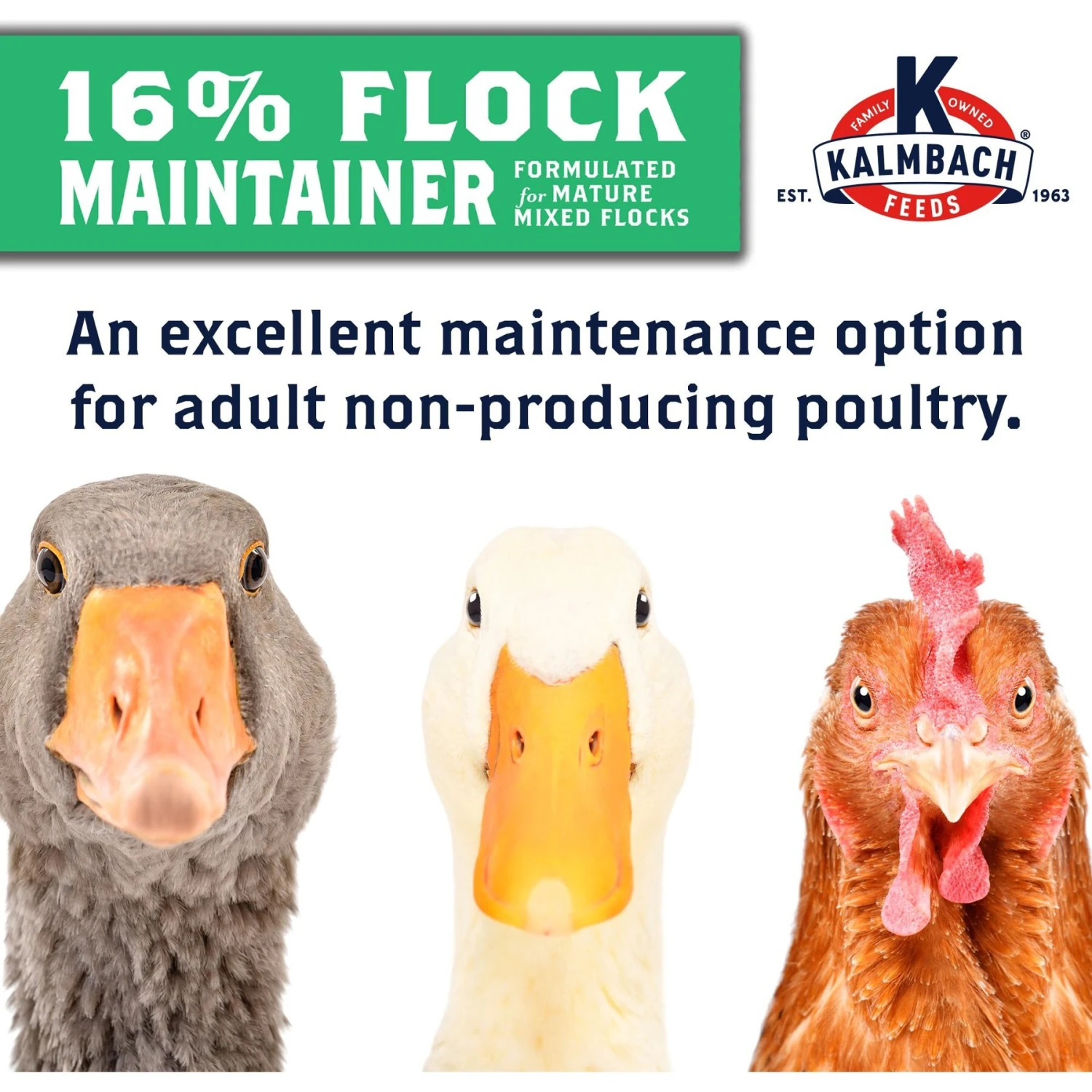 Kalmbach Feeds All Natural 16% Protein Flock Maintainer Pellet Poultry Feed 5 Kalmbach Feeds All Natural 16% Protein Flock Maintainer Pellet Poultry Feed - Image 5