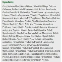 Healthy Harvest Non-GMO 20% Protein Chick Starter Grower Crumbles Chicken Feed -Meadow Farm 200018 PT4. AC SS1800 V1581366967