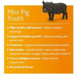 Mazuri Mini Pig Youth Feed -Meadow Farm 205663 PT3. AC SS1800 V1602045060
