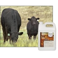 UltraCruz Weight Gain Livestock Supplement, 1-gal Bottle -Meadow Farm 211177 PT2. AC SS1800 V1701362796