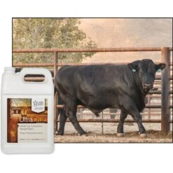 UltraCruz Weight Gain Livestock Supplement, 1-gal Bottle -Meadow Farm 211177 PT3. AC SS1800 V1701362797