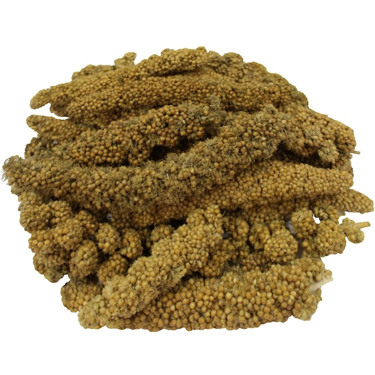 Brown's Encore Millet Tips N' Tails Poultry Treat, 8-oz Bag 2 Brown's Encore Millet Tips N' Tails Poultry Treat, 8-oz Bag - Image 2