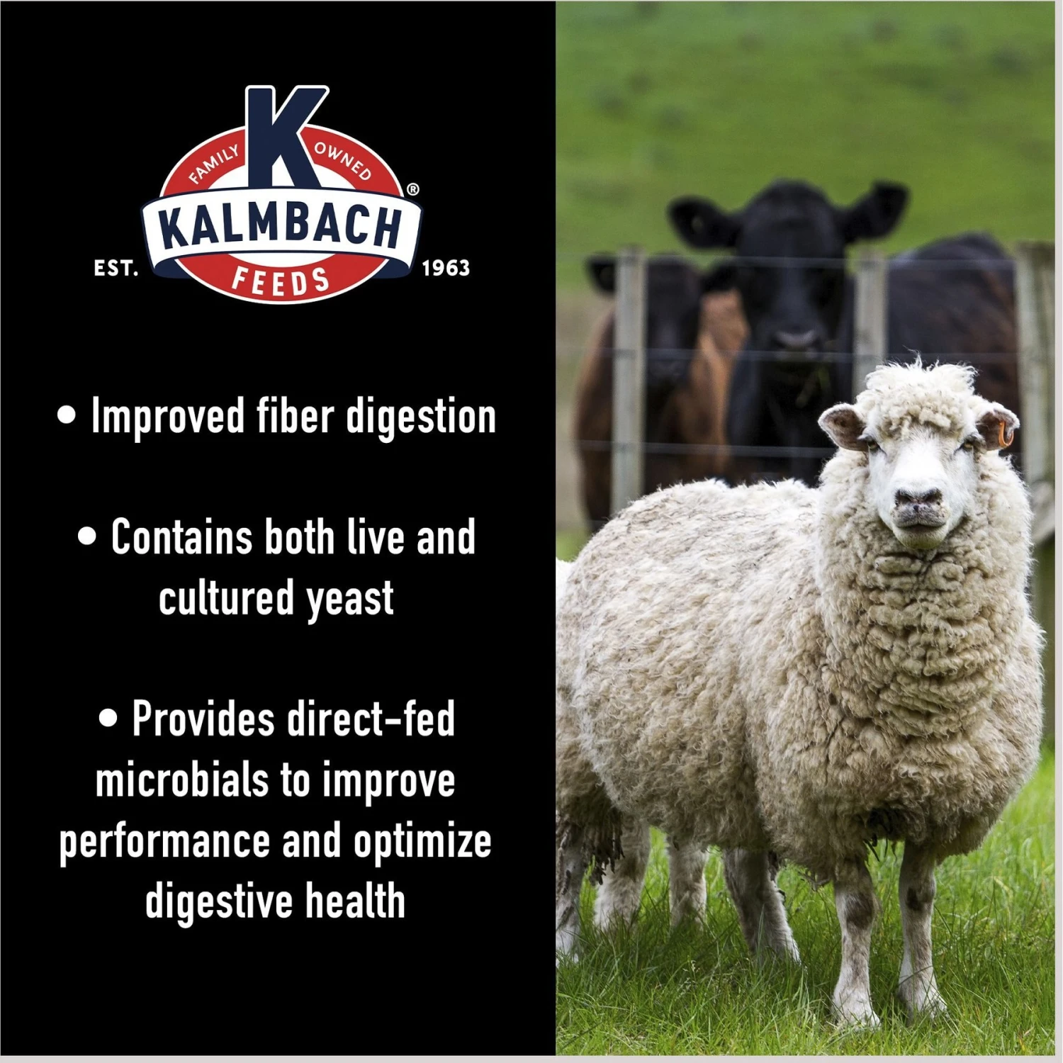 Kalmbach Feeds Opti-Ferm X-Large Yeast Livestock Feed 4 Kalmbach Feeds Opti-Ferm X-Large Yeast Livestock Feed - Image 4