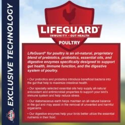 Kalmbach Feeds 18% Protein Start Right Medicated Chick Feed, 50-lb Bag -Meadow Farm 218117 PT6. AC SS1800 V1682113091