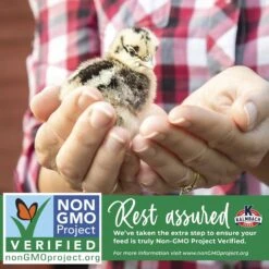 Kalmbach Feeds All Natural Non-GMO 18% Protein Start Right Chick Feed, 50-lb Bag -Meadow Farm 218119 PT6. AC SS1800 V1682110095