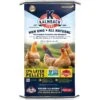 Kalmbach Feeds All Natural Non-GMO 17% Protein Layer Pellets Chicken Feed, 50-lb Bag