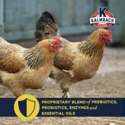 Kalmbach Feeds All Natural Non-GMO 17% Protein Layer Pellets Chicken Feed, 50-lb Bag 13 Kalmbach Feeds All Natural Non-GMO 17% Protein Layer Pellets Chicken Feed, 50-lb Bag -Meadow Farm 218123 PT4. AC SS1800 V1682110067