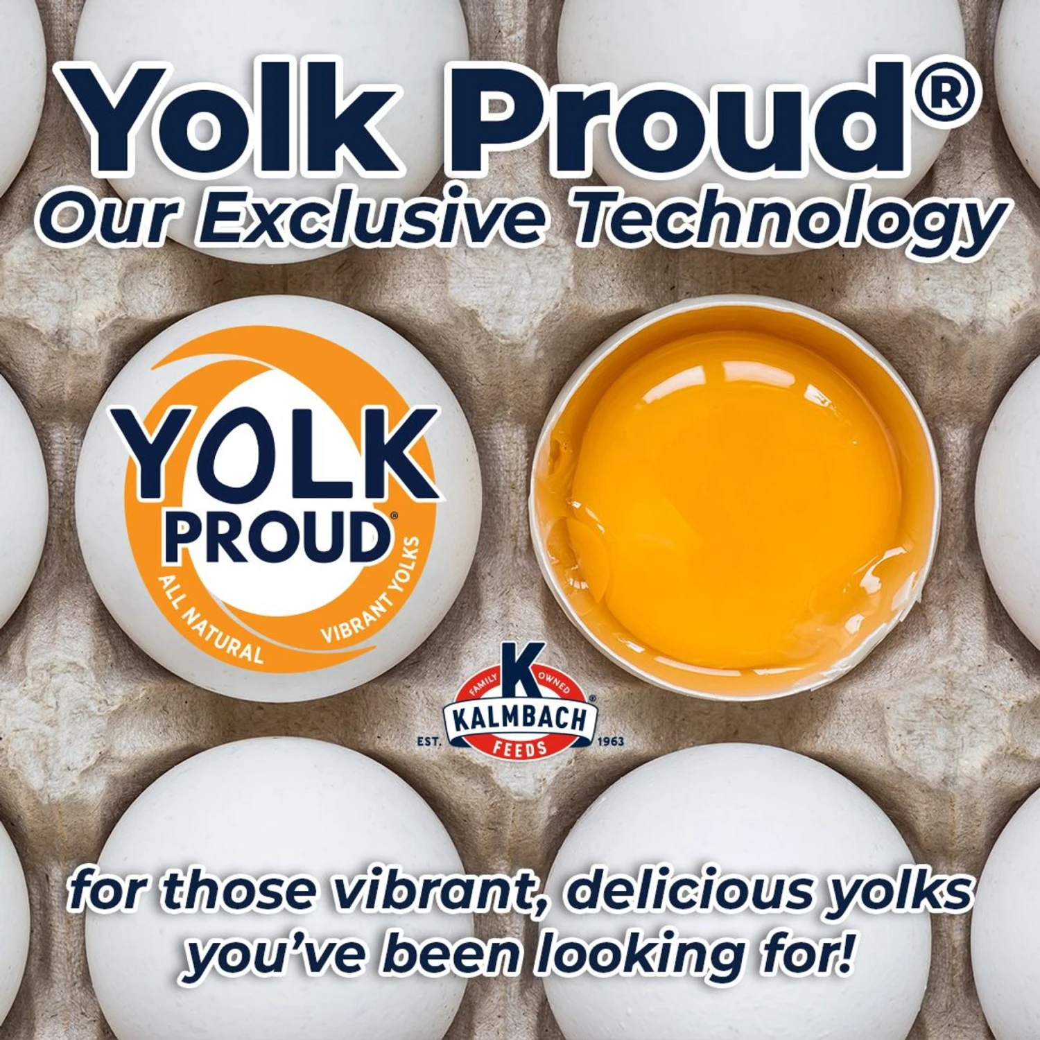 Kalmbach Feeds All Natural Non-GMO 17% Protein Layer Pellets Chicken Feed, 50-lb Bag 7 Kalmbach Feeds All Natural Non-GMO 17% Protein Layer Pellets Chicken Feed, 50-lb Bag - Image 7