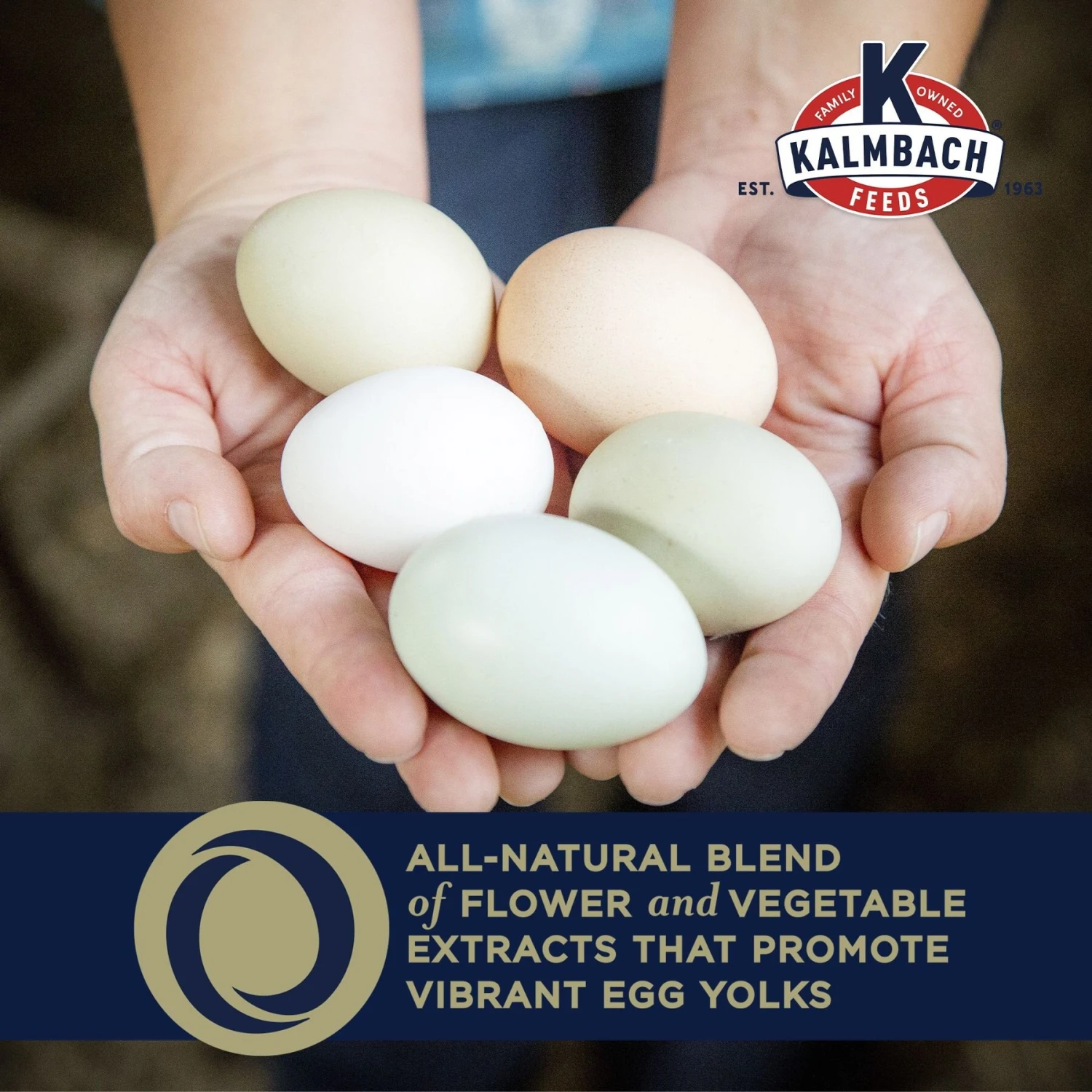 Kalmbach Feeds All Natural Hi Omega 17% Protein Layer Pellets Chicken Feed 6 Kalmbach Feeds All Natural Hi Omega 17% Protein Layer Pellets Chicken Feed - Image 6