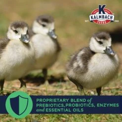 Kalmbach Feeds All Natural 20% Protein Flock Maker Crumbles Chicken Feed -Meadow Farm 218131 PT3. AC SS1800 V1682111754