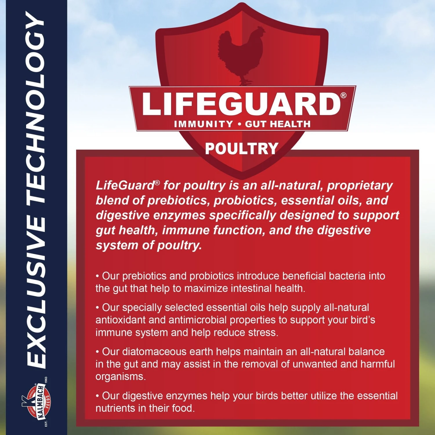 Kalmbach Feeds All Natural Non-GMO 20% Protein Flock Maker Crumbles Chicken Feed 7 Kalmbach Feeds All Natural Non-GMO 20% Protein Flock Maker Crumbles Chicken Feed - Image 7