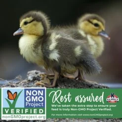 Kalmbach Feeds All Natural Non-GMO 20% Protein Flock Maker Crumbles Chicken Feed 16 Kalmbach Feeds All Natural Non-GMO 20% Protein Flock Maker Crumbles Chicken Feed -Meadow Farm 218133 PT7. AC SS1800 V1684335769