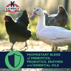 Kalmbach Feeds All Natural Non-GMO 16% Protein Flock Maintainer Poultry Feed -Meadow Farm 218135 PT3. AC SS1800 V1684335026