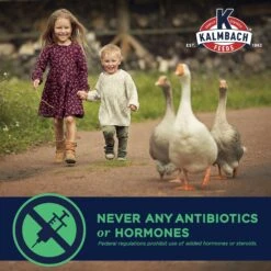 Kalmbach Feeds All Natural Non-GMO 16% Protein Flock Maintainer Poultry Feed -Meadow Farm 218135 PT4. AC SS1800 V1684334785