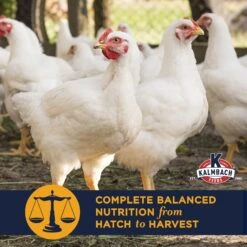 Kalmbach Feeds All Natural Non-GMO 22% Protein Start To Finish Meatbird Crumbles Poultry Feed -Meadow Farm 218143 PT3. AC SS1800 V1682113777