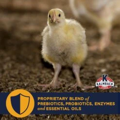 Kalmbach Feeds All Natural Non-GMO 22% Protein Start To Finish Meatbird Crumbles Poultry Feed -Meadow Farm 218143 PT4. AC SS1800 V1682112373