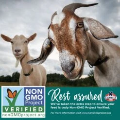 Kalmbach Feeds 16% Non-GMO Pelleted Goat Feed, 50-lb Bag -Meadow Farm 218153 PT4. AC SS1800 V1665438441