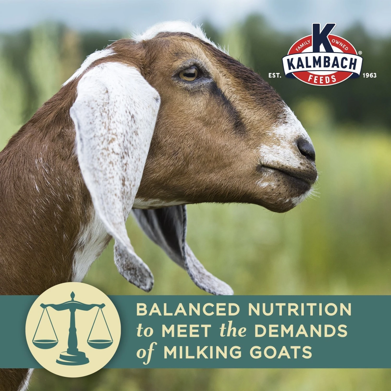 Kalmbach Feeds Milk Maker Goat Feed, 50-lb Bag 4 Kalmbach Feeds Milk Maker Goat Feed, 50-lb Bag - Image 4