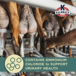 Kalmbach Feeds Milk Maker Goat Feed, 50-lb Bag 14 Kalmbach Feeds Milk Maker Goat Feed, 50-lb Bag -Meadow Farm 218155 PT5. AC SS1800 V1682113157