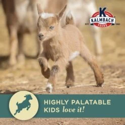Kalmbach Feeds Start Right Young Goat Feed, 50-lb Bag 12 Kalmbach Feeds Start Right Young Goat Feed, 50-lb Bag -Meadow Farm 218159 PT3. AC SS1800 V1682113776