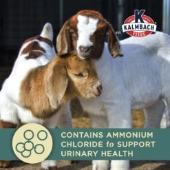 Kalmbach Feeds Start Right Young Goat Feed, 50-lb Bag 14 Kalmbach Feeds Start Right Young Goat Feed, 50-lb Bag -Meadow Farm 218159 PT5. AC SS1800 V1682112370
