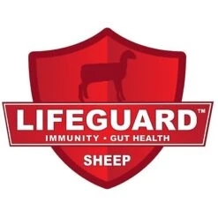 Kalmbach Feeds Start Right Lamb Creep Young Sheep Feed, 50-lb Bag -Meadow Farm 218161 pt2. AC SS1800 V1580249878