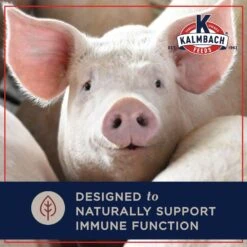 Kalmbach Feeds Family Fixin's Non-GMO Sow Pellet Pig Feed, 50-lb Bag -Meadow Farm 218177 PT3. AC SS1800 V1682112650