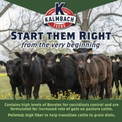 Kalmbach Feeds Start Right Preconditioner Cattle Feed, 50-lb Bag -Meadow Farm 218181 PT4. AC SS1800 V1665439286