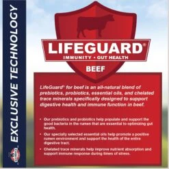 Kalmbach Feeds Start Right Preconditioner Cattle Feed, 50-lb Bag -Meadow Farm 218181 PT5. AC SS1800 V1665439255